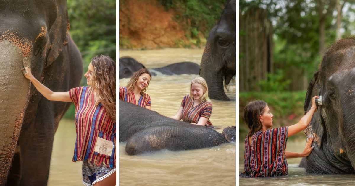 phuket jungle sanctuary